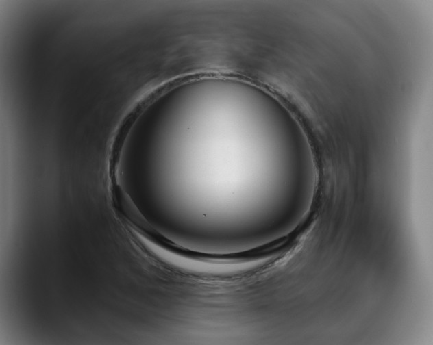 X0000090471168200707131252