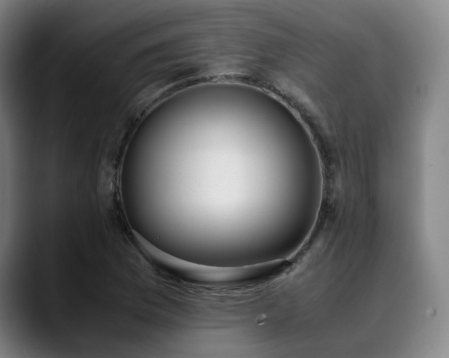 X0000090471169200707131252
