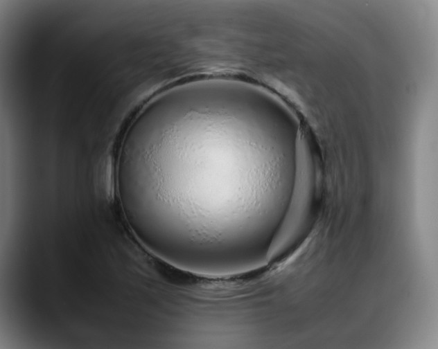 X0000090471171200707131252