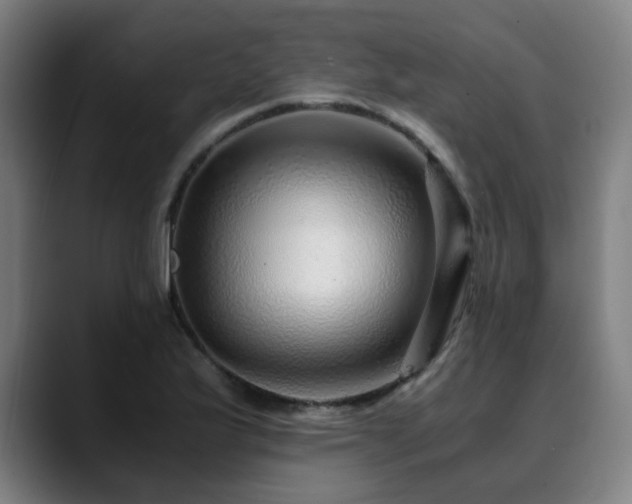 X0000090471175200707131252