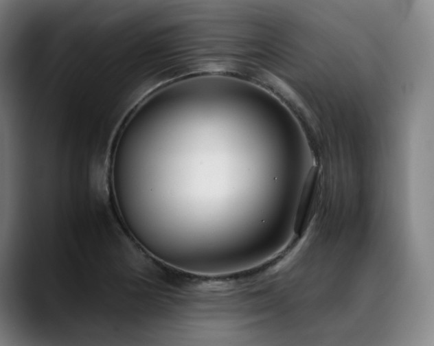 X0000090471178200707131252
