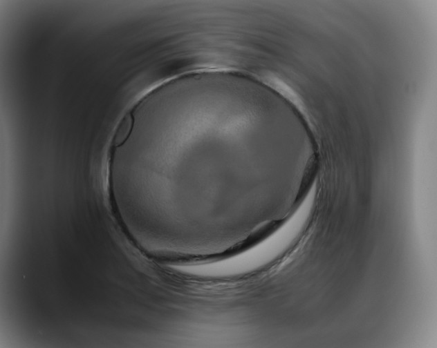 X0000090471179200707131252
