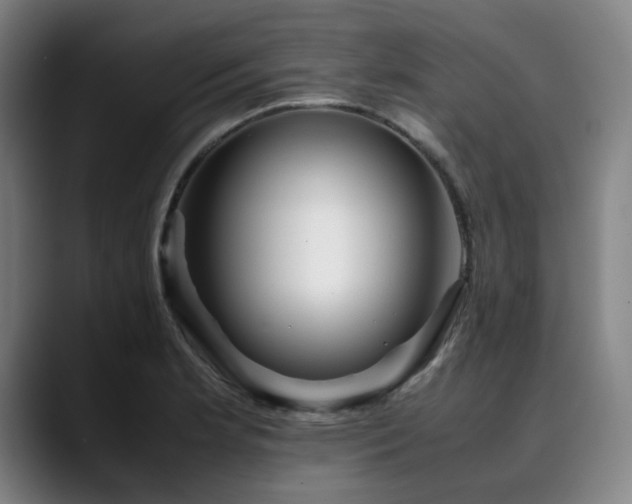 X0000090471181200707131252