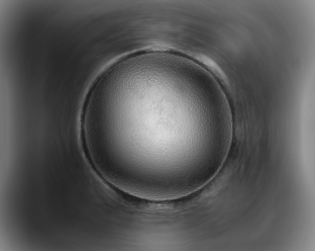 X0000090471183200707131252