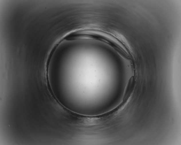 X0000090471184200707131252