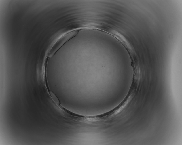 X0000090471196200707131252