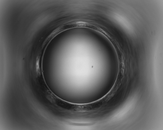 X0000090471198200707131252
