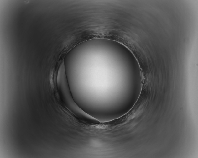 X0000090471202200707131251