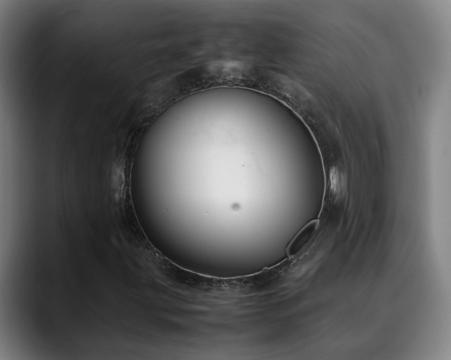 X0000090471203200707131251