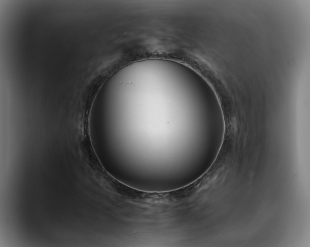 X0000090471205200707131251