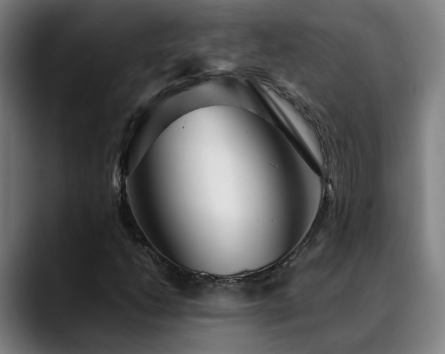 X0000090471206200707131251