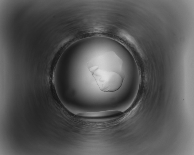 X0000090471210200707131251