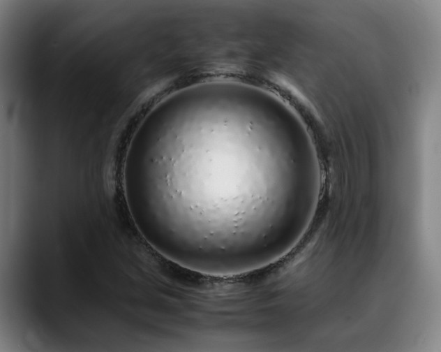 X0000090471213200707131252