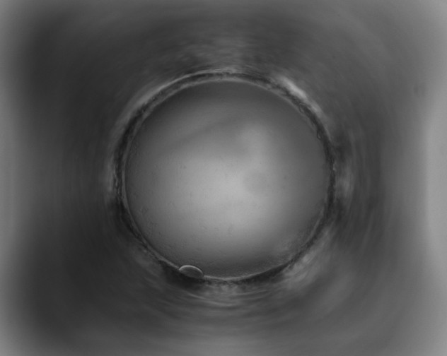 X0000090471215200707131252
