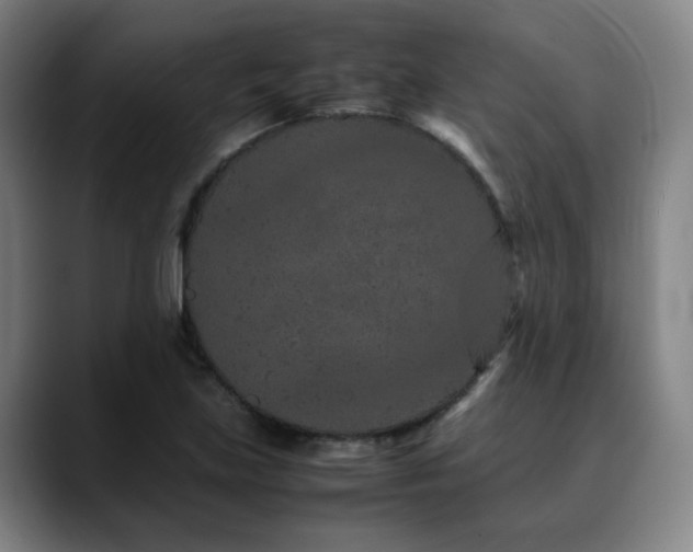 X0000090471219200707131252