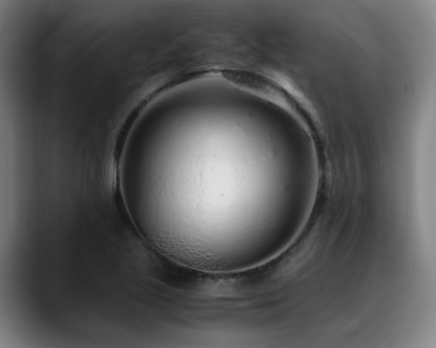 X0000090471221200707131252