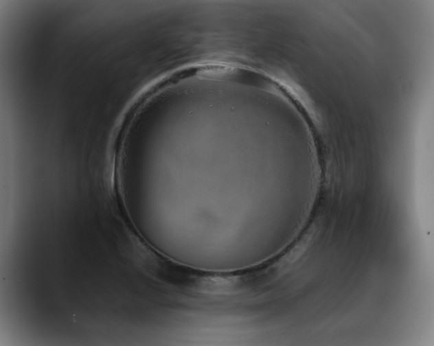 X0000090471224200707131252