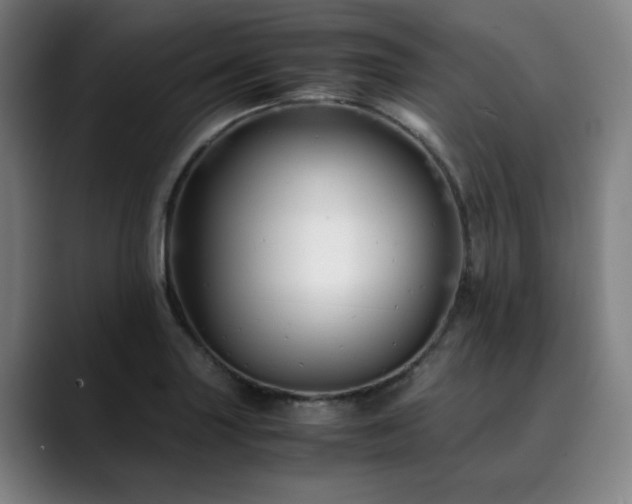 X0000090471227200707131252