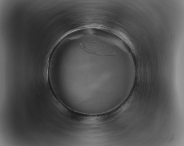 X0000090471228200707131252