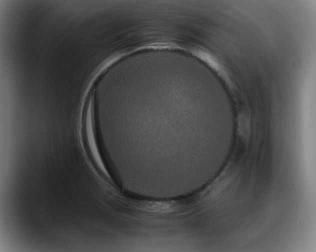 X0000090471229200707131252