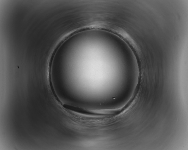 X0000090471232200707131252