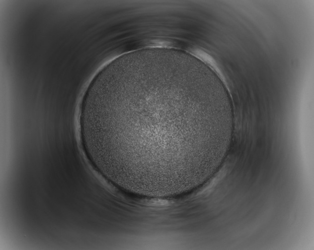 X0000090471235200707131252