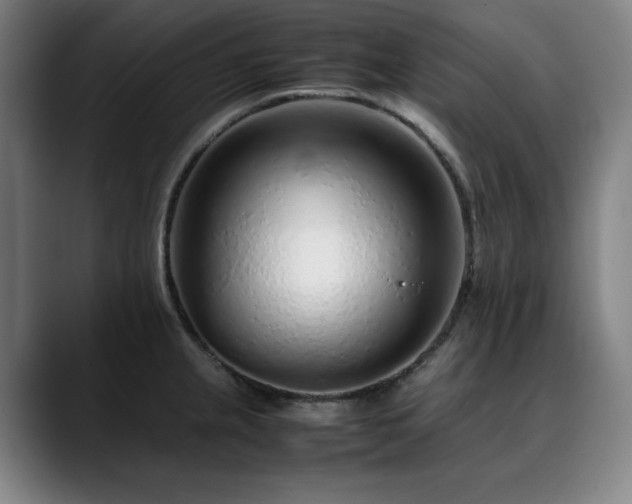 X0000090471237200707131252