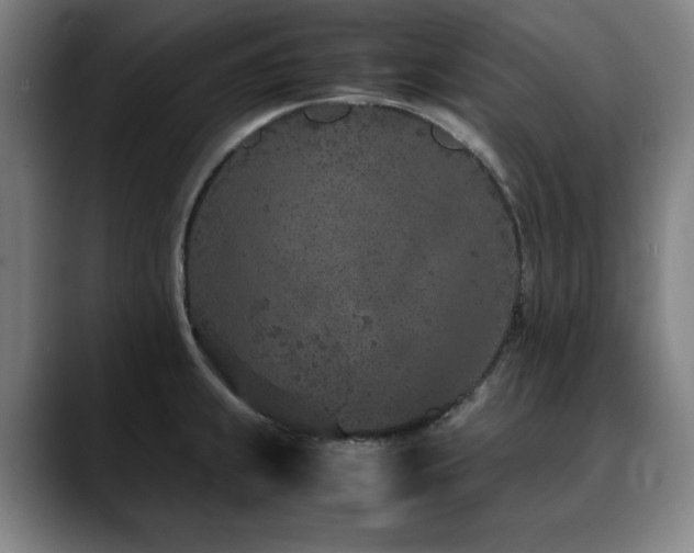 X0000090471239200707131252