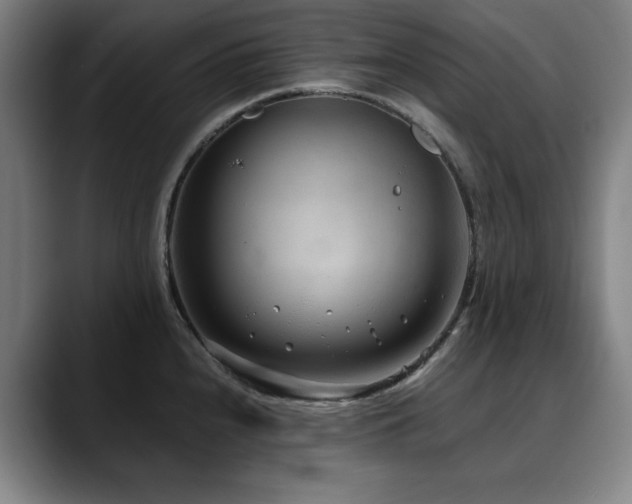 X0000090471240200707131252