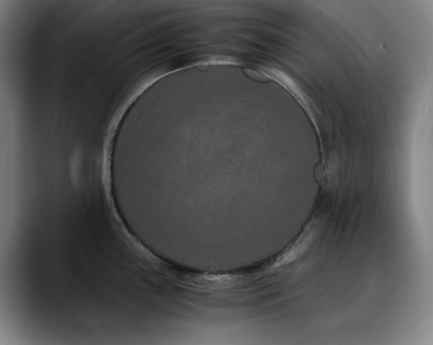 X0000090471243200707131252