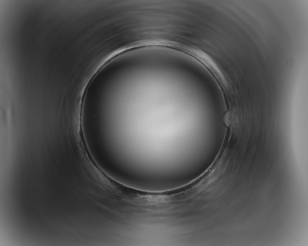 X0000090471244200707131252
