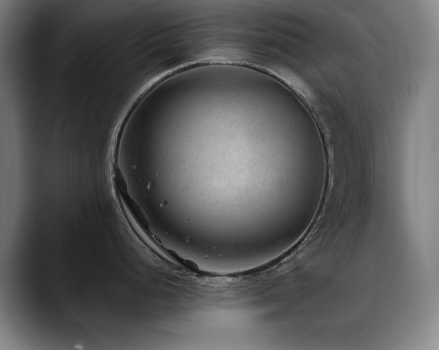 X0000090471248200707131252