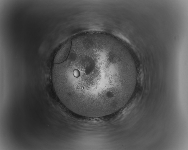 X0000090471255200707131251