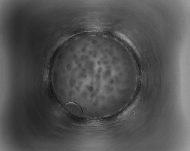 X0000090471259200707131251