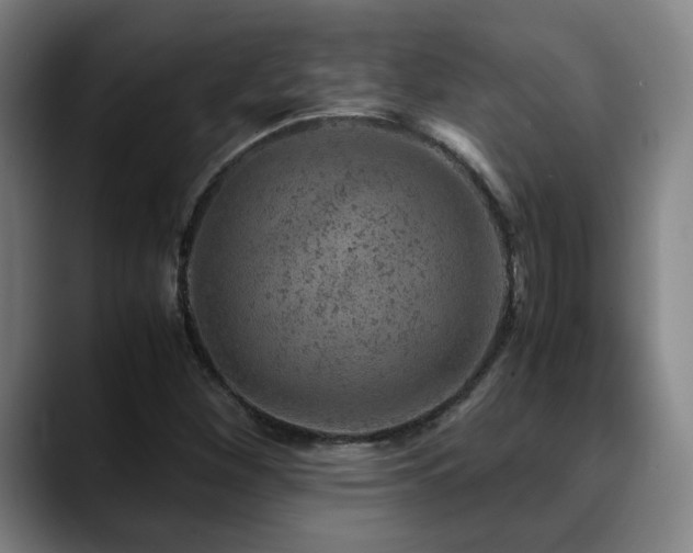 X0000090471260200707131251