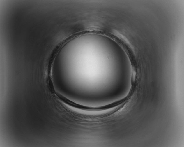 X0000090471261200707131251