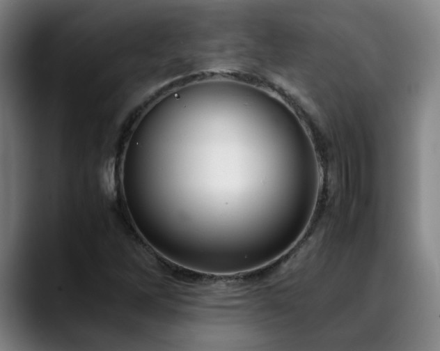 X0000090471262200707131251