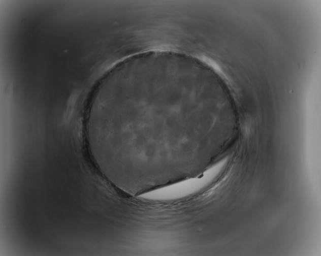 X0000090471263200707131251