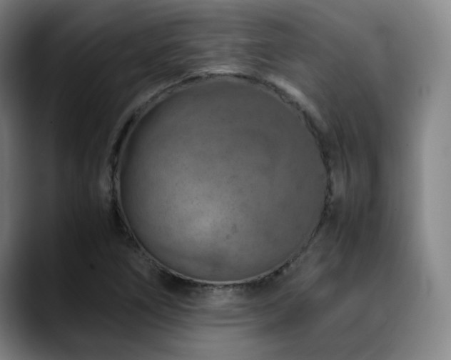 X0000090471266200707131251