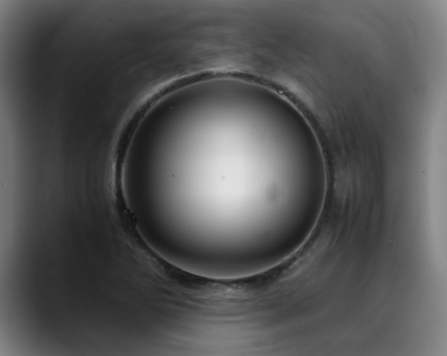 X0000090471270200707131251