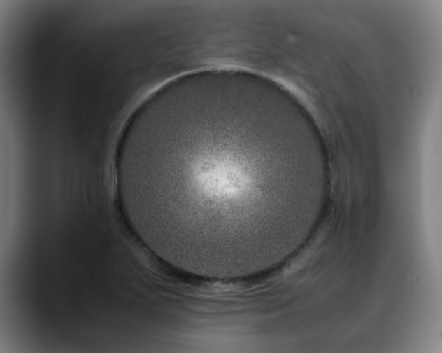X0000090471271200707131251