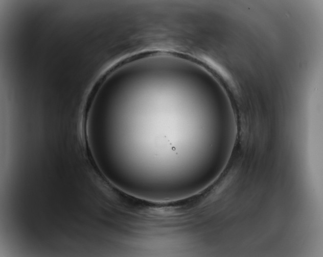 X0000090471272200707131251