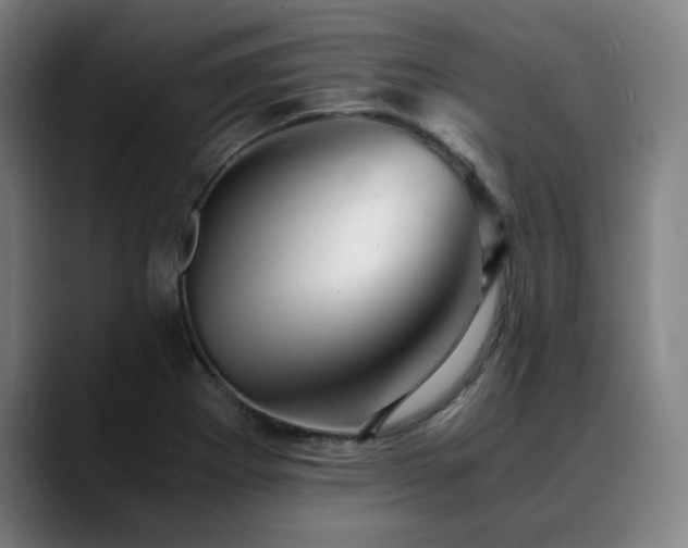 X0000090471273200707131251