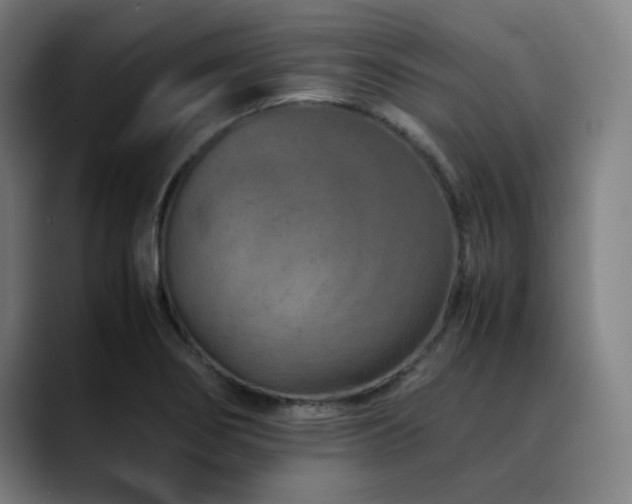 X0000090471274200707131251