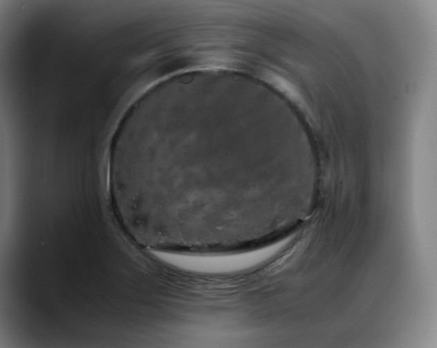 X0000090471275200707131251