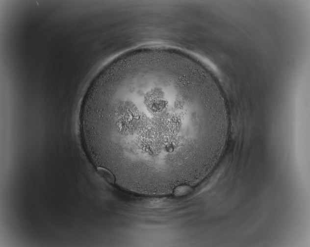 X0000090471279200707131251