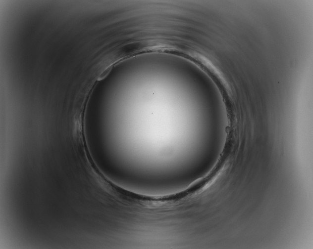 X0000090471281200707131251