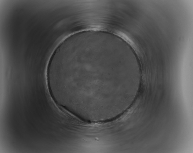 X0000090471283200707131251