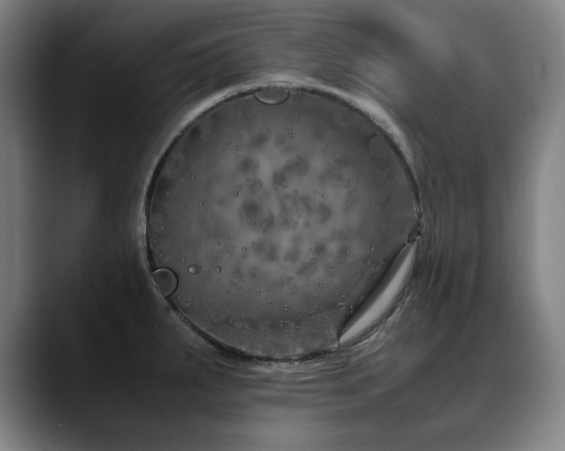 X0000090471287200707131251