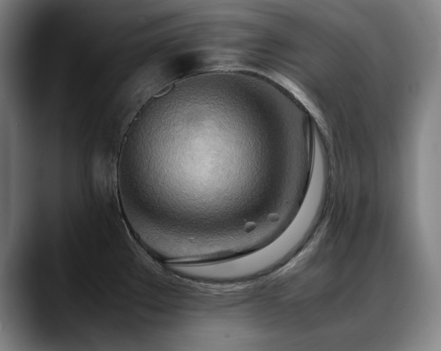 X0000090471289200707131251
